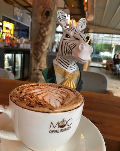 ZEBRA MOCHA